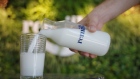 Lab-grown milk